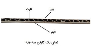 نمای عرضی یک کارتن سه لایه
