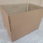 کارتن کتابی