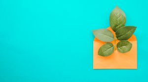 تصویری از کارتن پستی سازگار با محیط زیست