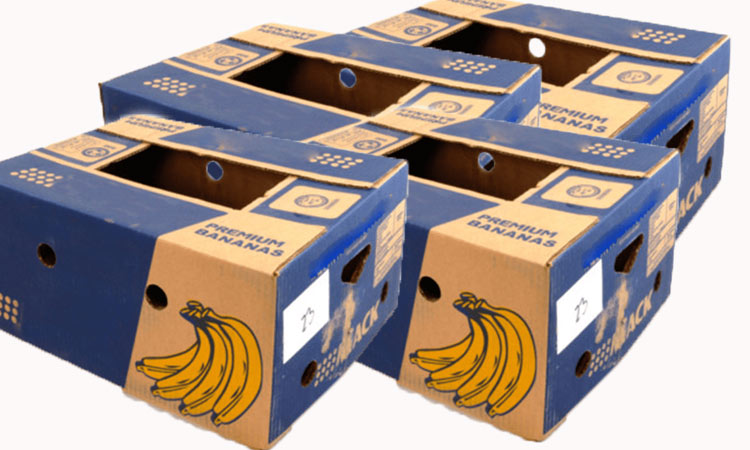 خرید کارتن موز و نکات مهم انتخاب آن