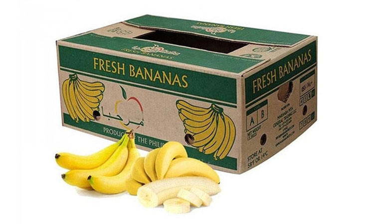 خرید کارتن موز و نکات مهم انتخاب آن