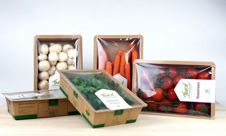 نکات مهم خرید کارتن میوه و روش سفارش آن