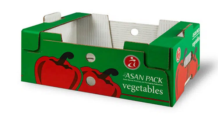 نکات مهم خرید کارتن میوه و روش سفارش آن