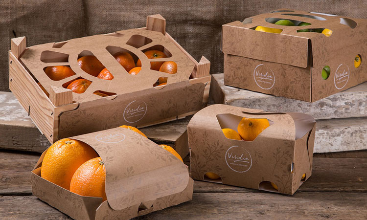 نکات مهم خرید کارتن میوه و روش سفارش آن